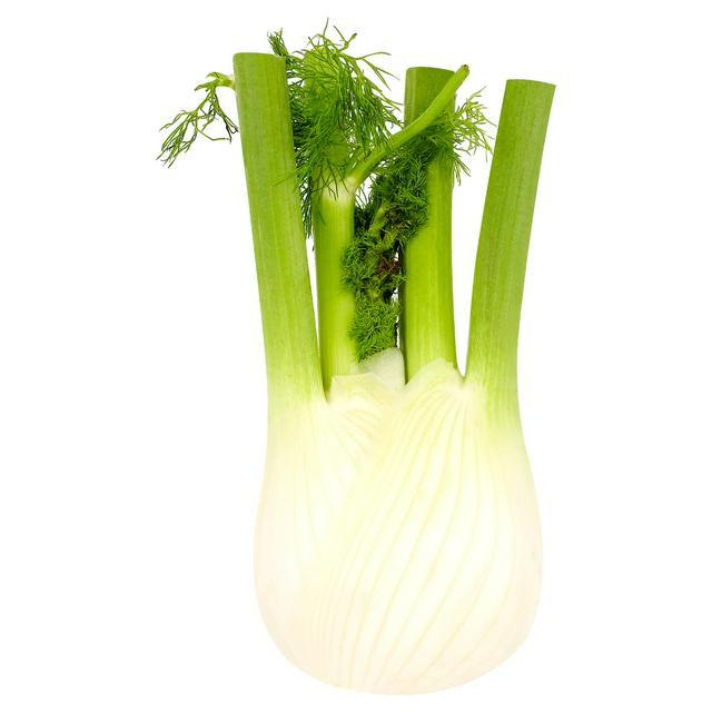 Fennel (Each)