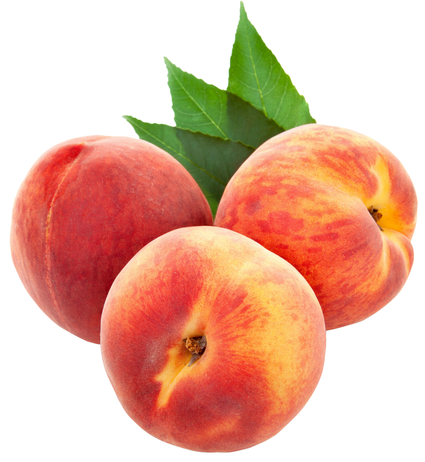 Peach (USA)
