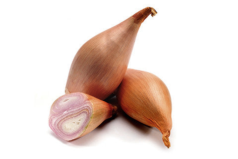 Brown Onion Shallots