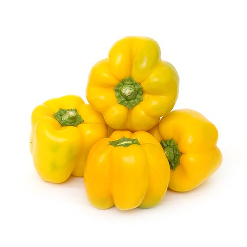 Capsicum Yellow