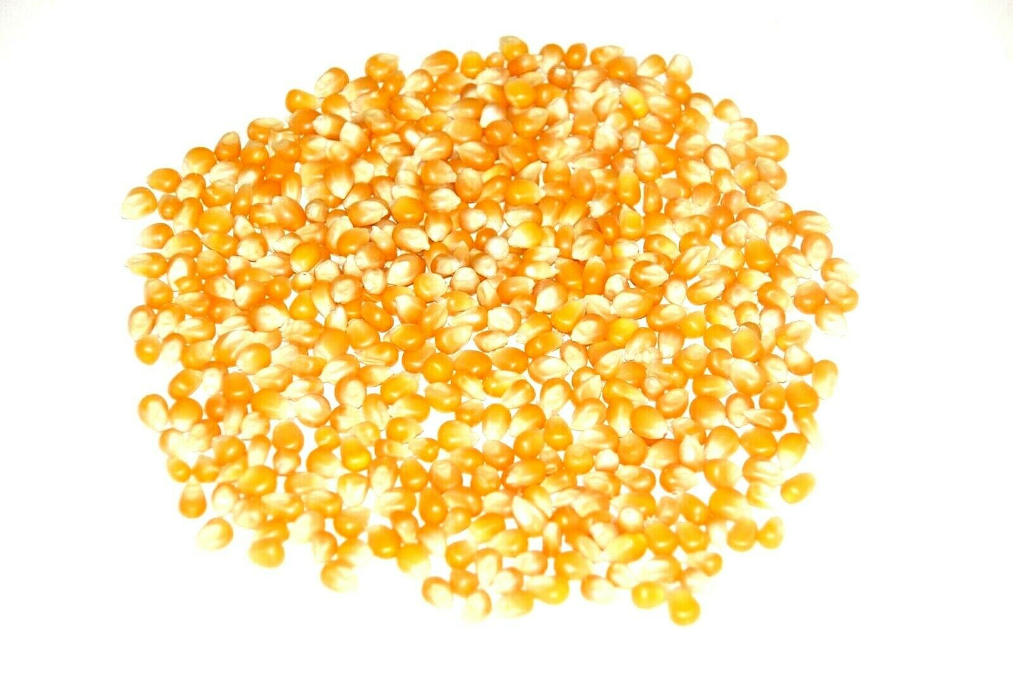 Pacific Paramount Popping Corn