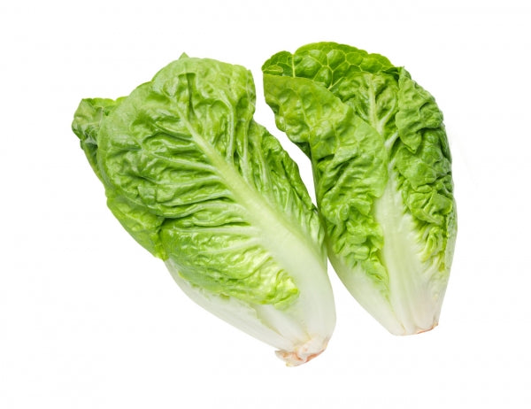 Baby Cos Lettuce (Each)