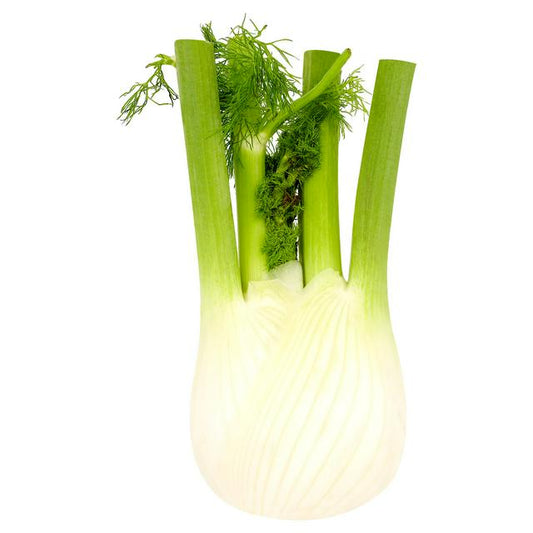 Fennel (Each)