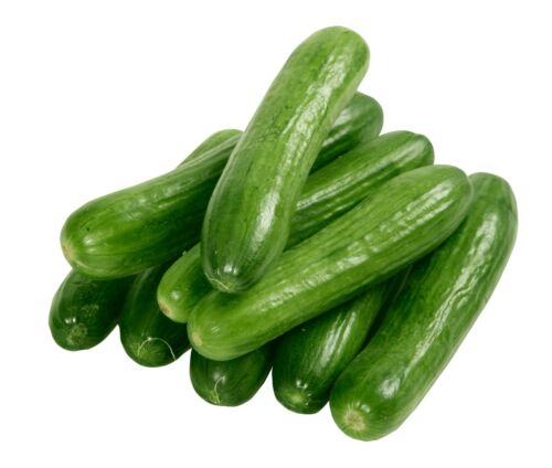 Lebanese Cucumbers