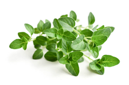 Oregano (Each)