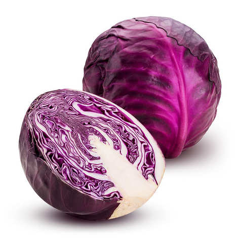 Cabbage Red (Each)