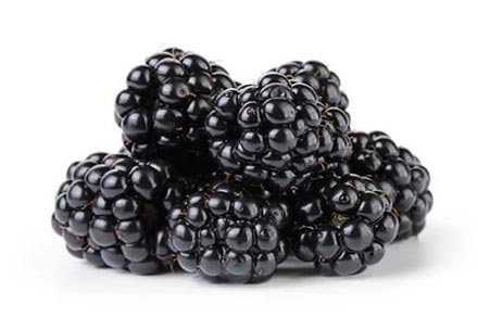 Blackberries Punnet