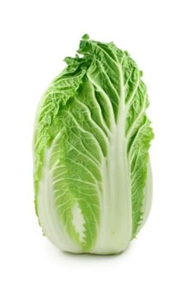 Cabbage Wombok (Each)