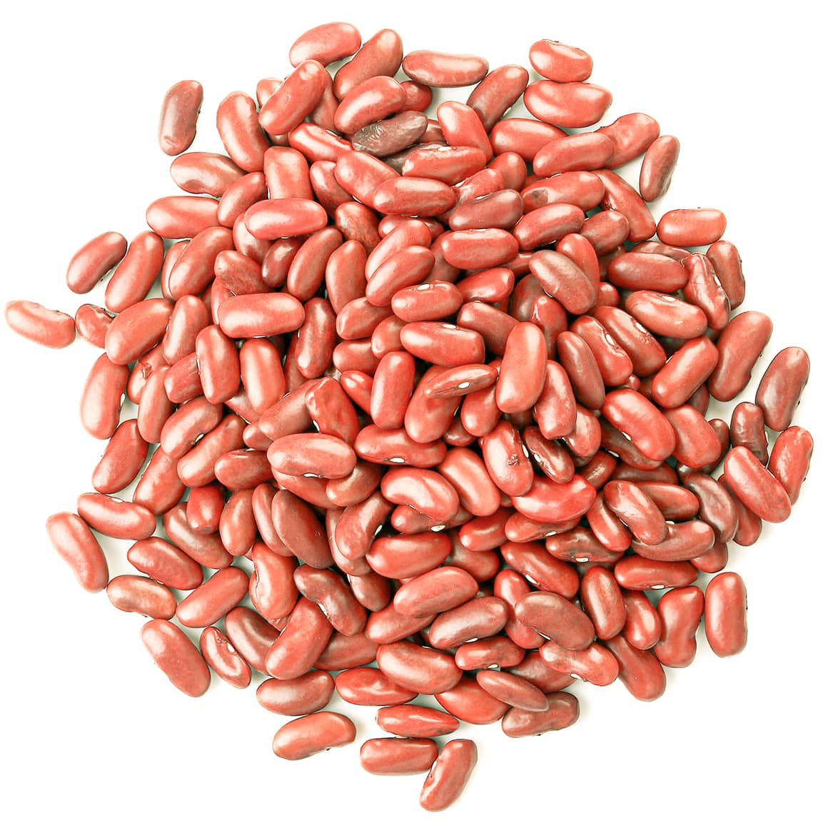 Pacific Paramount Light Red Kidney Beans